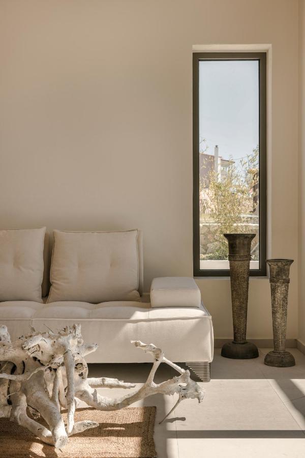 Spathes Suites Kefalonia - Luxury Suites Radzaklí Kültér fotó