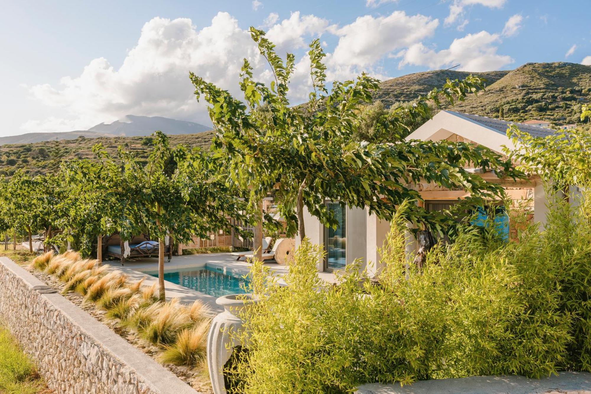 Spathes Suites Kefalonia - Luxury Suites Radzaklí Kültér fotó