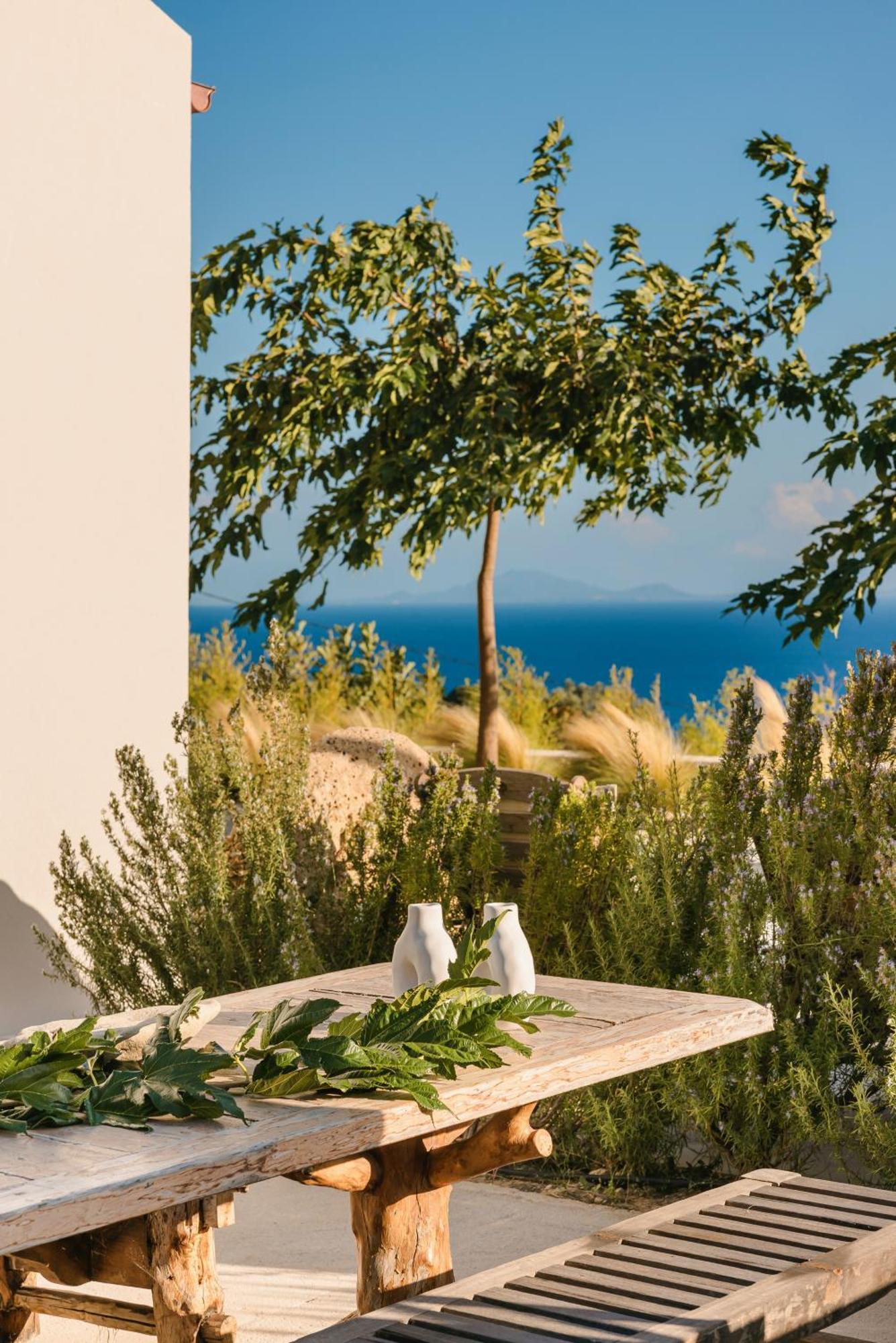 Spathes Suites Kefalonia - Luxury Suites Radzaklí Kültér fotó