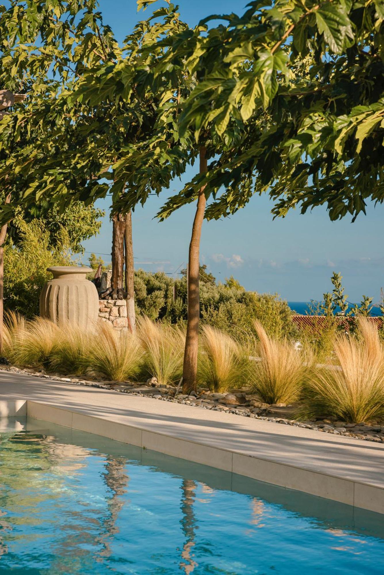 Spathes Suites Kefalonia - Luxury Suites Radzaklí Kültér fotó