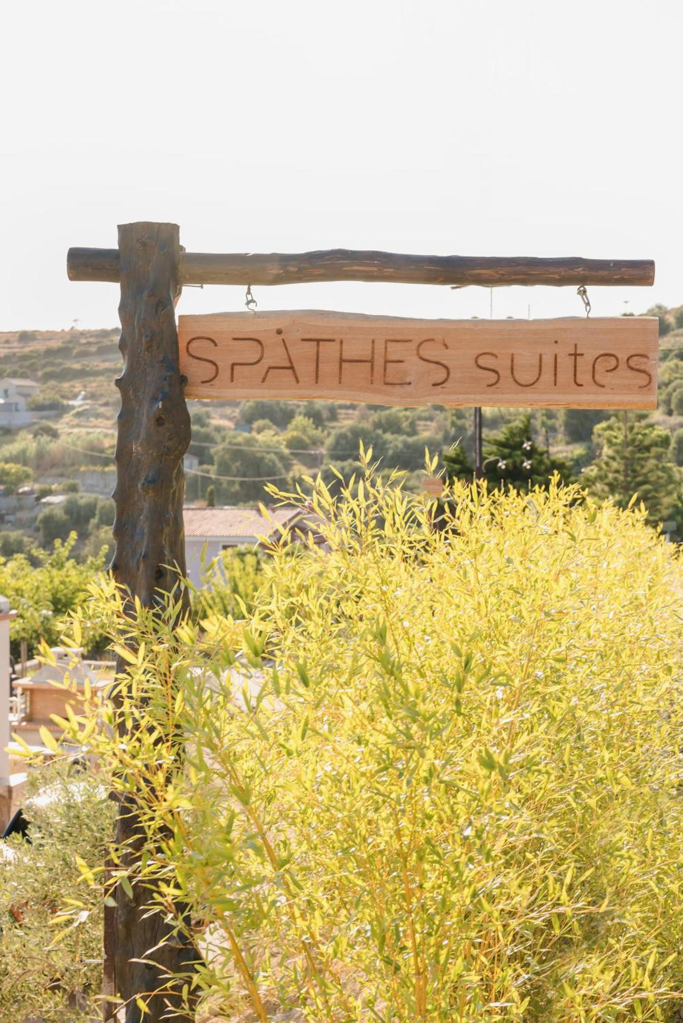 Spathes Suites Kefalonia - Luxury Suites Radzaklí Kültér fotó